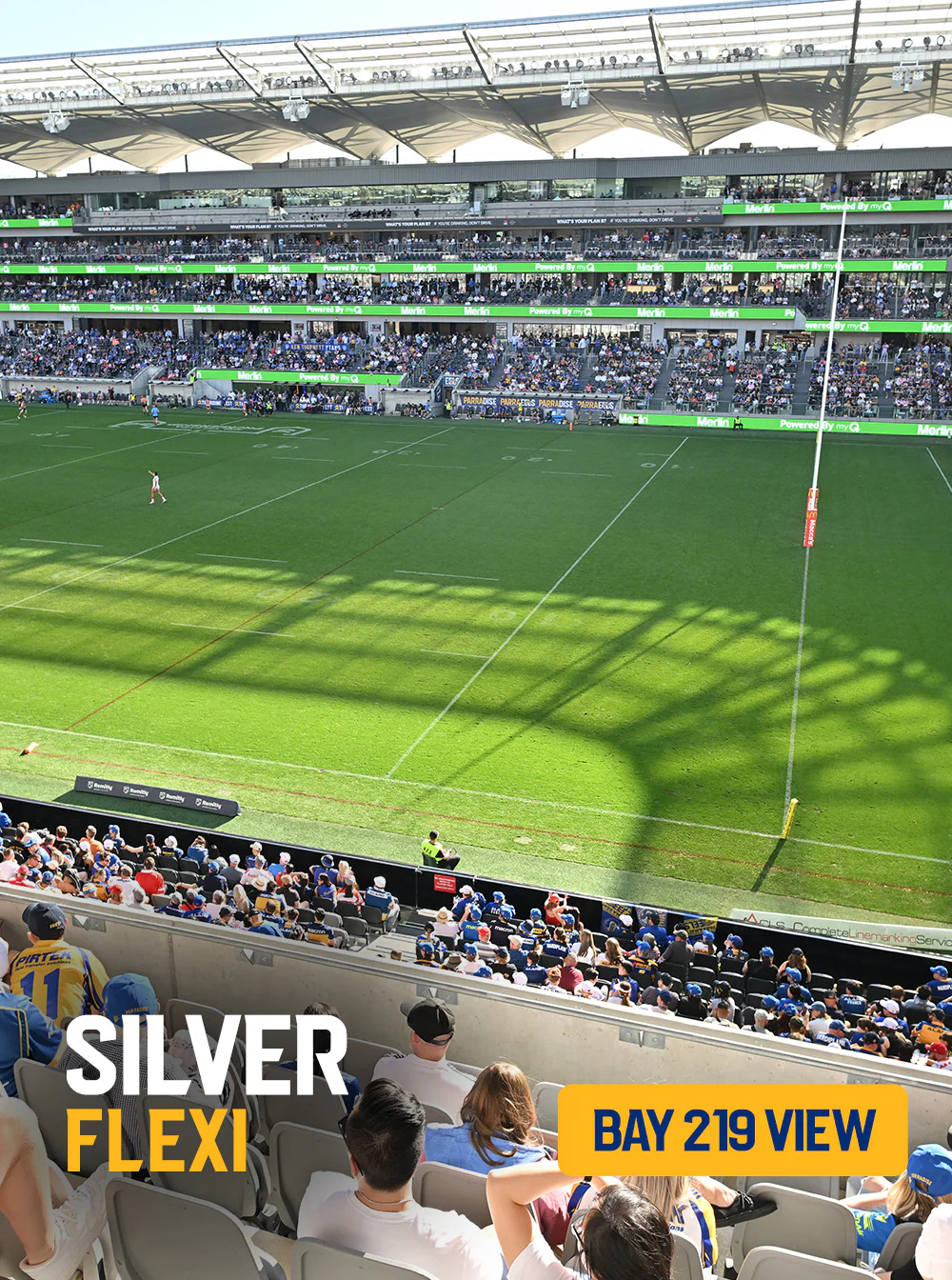 Flexi Silver 2 Games